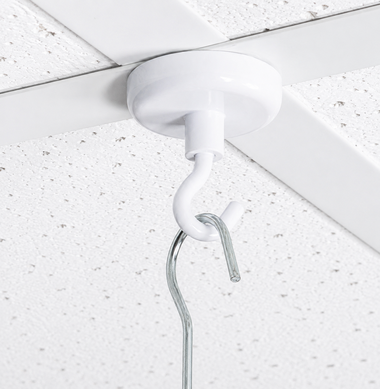 WHITE CEILING HOOK MAGNETS