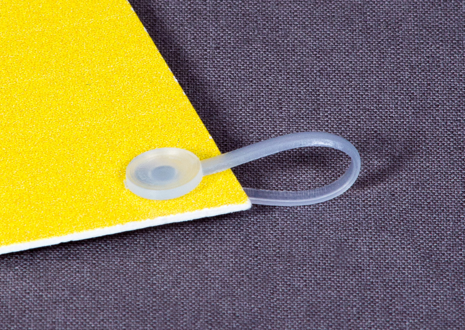 SNAP LOOP – Pop Display
